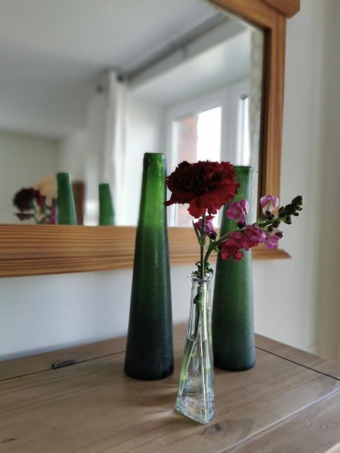 Bed and Breakfast Housing De Brouwerij Westdorpe Екстер'єр фото