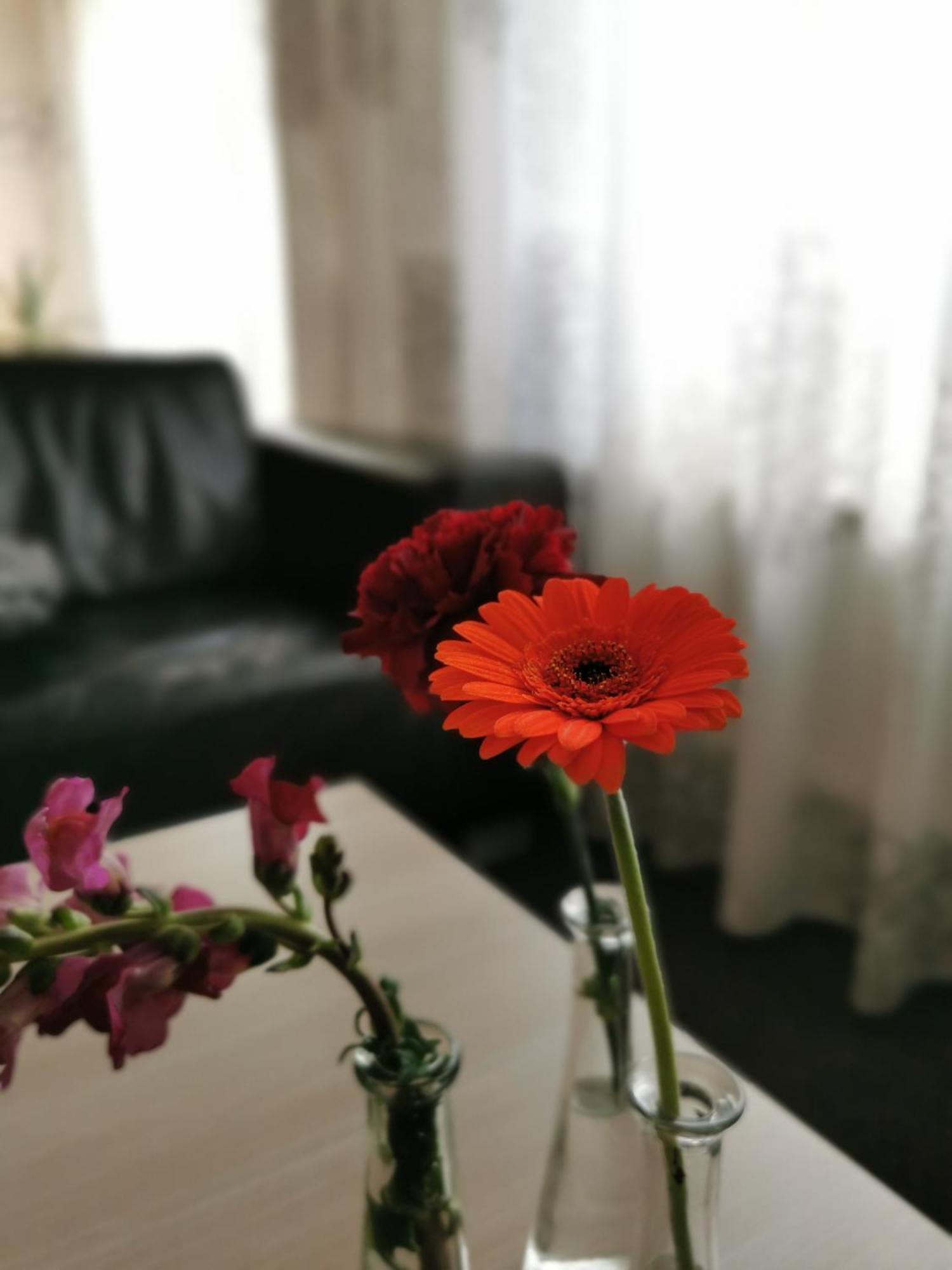 Bed and Breakfast Housing De Brouwerij Westdorpe Номер фото