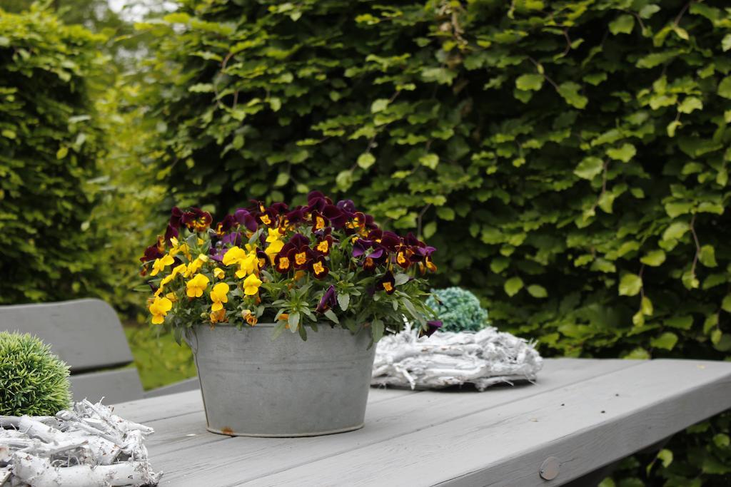 Bed and Breakfast Housing De Brouwerij Westdorpe Екстер'єр фото